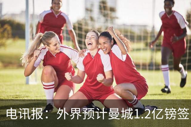 电讯报：外界预计曼城1.2亿镑签安德森 担忧这一价格引发连锁反应